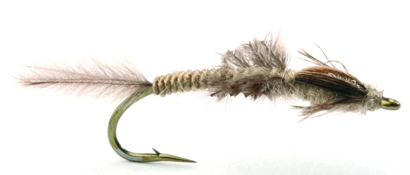 Vulgata Nymfe - 8 3 Vulgata Nymfe - 8