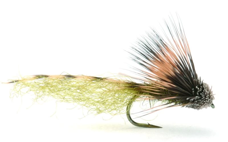 Bs Grandisklekker - 8 3 Bs Grandisklekker - 8