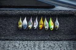 Berkley DEX Ripper 13 Berkley DEX Ripper -Angelrollen 1572667r 6