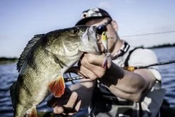 Quantum 4Street Spin-Jig 14g -Angelrollen 22 3494304r 2