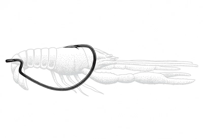 Owner Wide Gap Plus 4 Owner Wide Gap Plus - Image 2