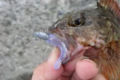 Decoy SN-1 Round Snap -Angelrollen DSN10r 5