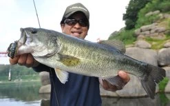 Fish Arrow Free Rig Sinker Tungsten -Angelrollen FA 4573251342053r 6