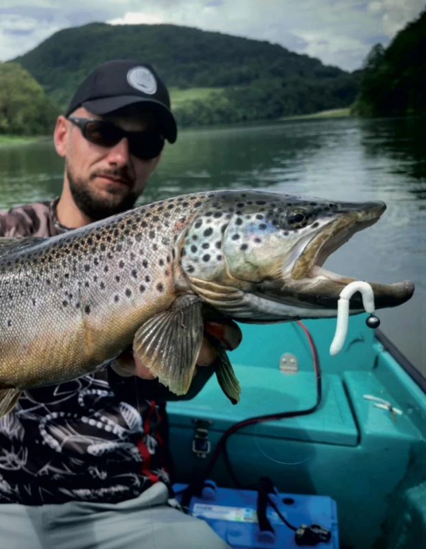 Libra Lures Fatty D'Worm 75 Krill (8pcs) 7 Libra Lures Fatty D'Worm 75 Krill (8pcs) - Image 5