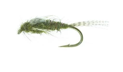 A.P. Olive Olive TMC 3761 #12 3 A.P. Olive Olive TMC 3761 #12