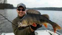 Spinmad Tail Spinner Jigmaster 8g -Angelrollen GL 2301r 2