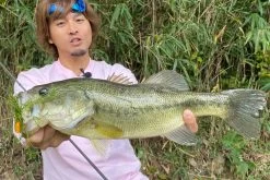 Megabass Vibration-X Dyna (Rattle In) -Angelrollen MB VXDR 4513473465505r 3