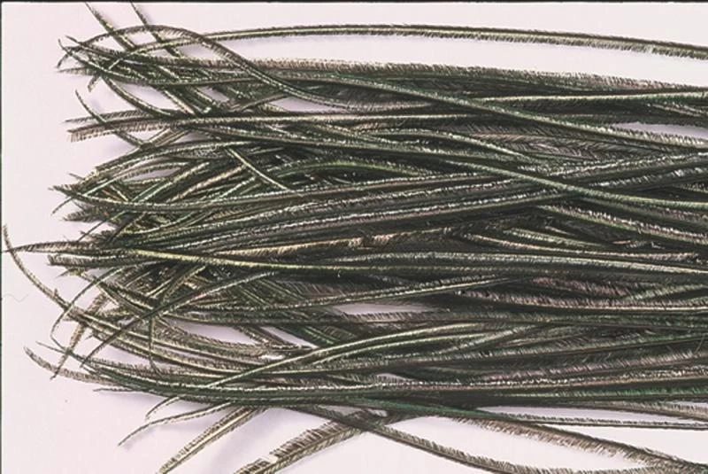 Påfågel - Herl 3 Påfågel - Herl