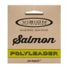 Vision Salmon Polyleader