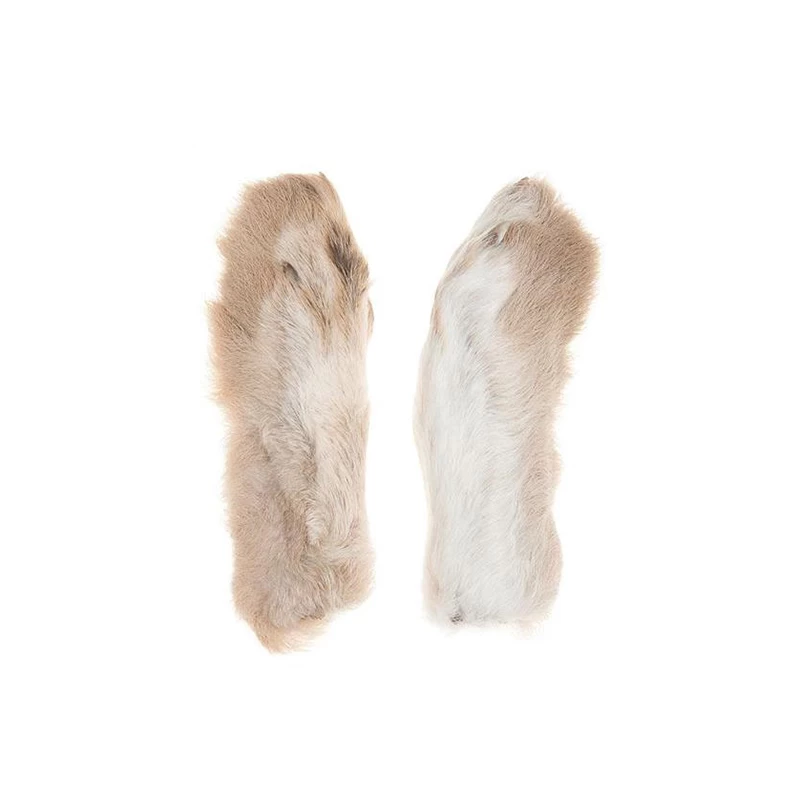 Jack Rabbit 3 Jack Rabbit