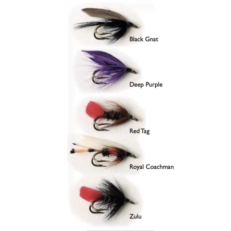 Wet Fly Double 5-pack 3 Wet Fly Double 5-pack