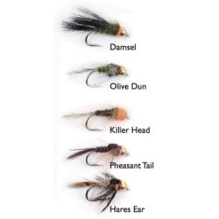 Goldheads Short Shank 5-pack