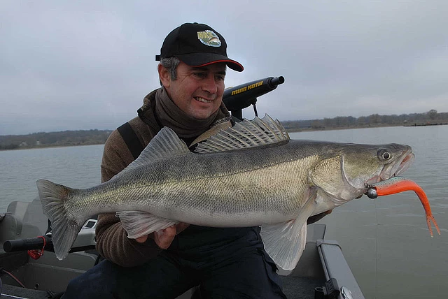 Westin TwinTeez 7 Westin TwinTeez - Image 5